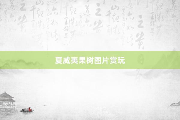 夏威夷果树图片赏玩