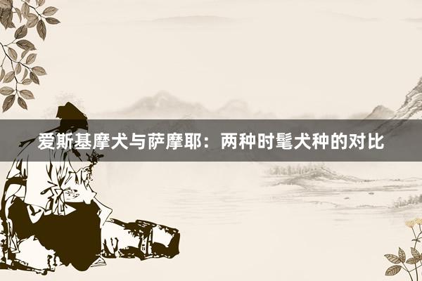 爱斯基摩犬与萨摩耶：两种时髦犬种的对比