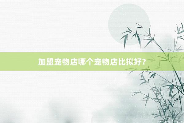 加盟宠物店哪个宠物店比拟好?